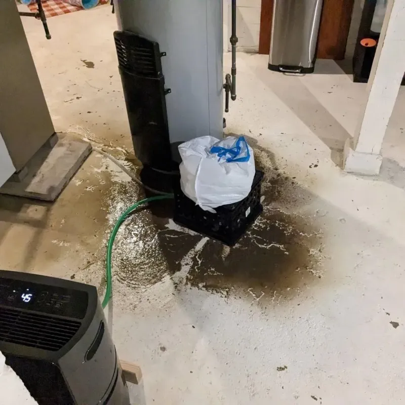 Sewage Backup Cleanup Service in Glenn County, CA